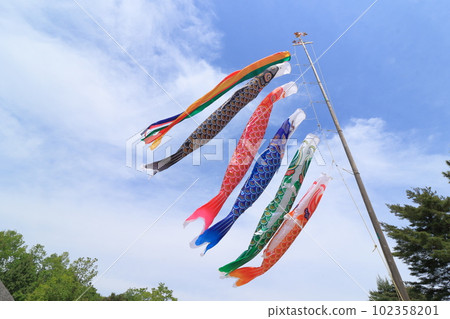 鯉魚飄飄藍天五月 102358201