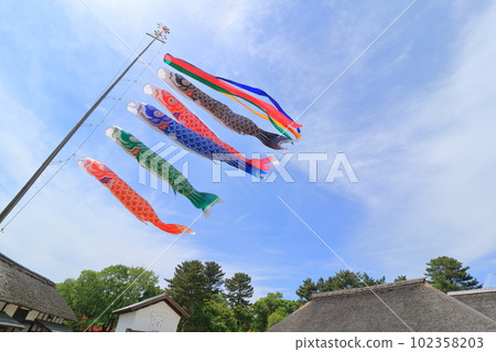 鯉魚飄飄藍天五月 鯉魚飄飄藍天五月 102358203