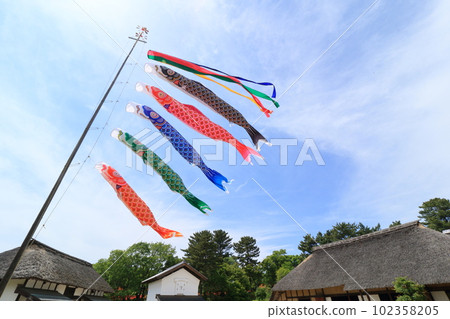 鯉魚飄飄藍天五月 鯉魚飄飄藍天五月 102358205