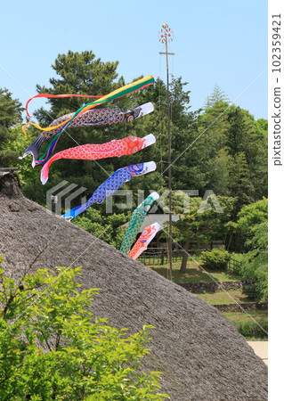 鯉魚幡比屋頂還高 鯉魚幡在藍天裡游 鯉魚幡比屋頂還高 鯉魚幡在藍天裡游 102359421
