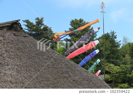 鯉魚幡比屋頂還高 鯉魚幡在藍天裡游 鯉魚幡比屋頂還高 鯉魚幡在藍天裡游 102359422