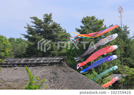 鯉魚幡比屋頂還高 鯉魚幡在藍天裡游 鯉魚幡比屋頂還高 鯉魚幡在藍天裡游 102359428