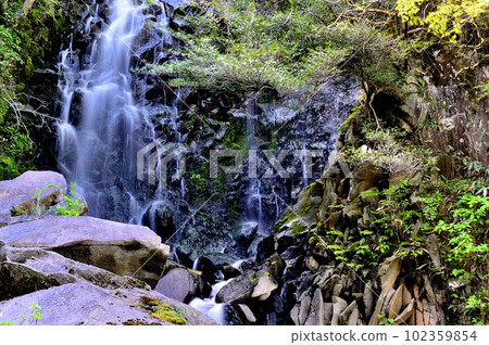 Kanagawa Prefecture Hakone, scenery of Hiryu Falls Kanagawa Prefecture Hakone, scenery of Hiryu Falls 102359854