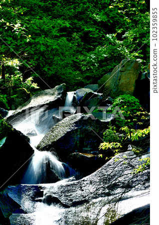 Kanagawa Prefecture Hakone, scenery of Hiryu Falls Kanagawa Prefecture Hakone, scenery of Hiryu Falls 102359855