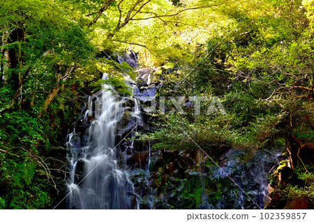 Kanagawa Prefecture Hakone, scenery of Hiryu Falls 102359857