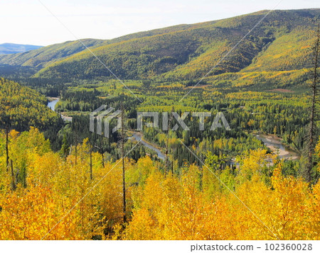 Fall of Alaska 102360028