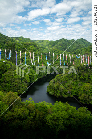 茨城縣常陸太田市新綠龍神吊橋和鯉魚旗 茨城縣常陸太田市新綠龍神吊橋和鯉魚旗 102360223