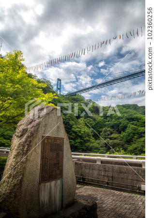 茨城縣常陸太田市新綠龍神吊橋和鯉魚旗 茨城縣常陸太田市新綠龍神吊橋和鯉魚旗 102360256