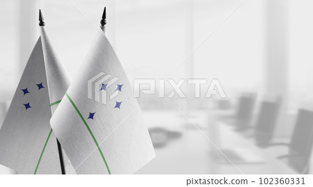 Small flags of the Mercosur on an abstract blurry background Small flags of the Mercosur on an abstract blurry background 102360331