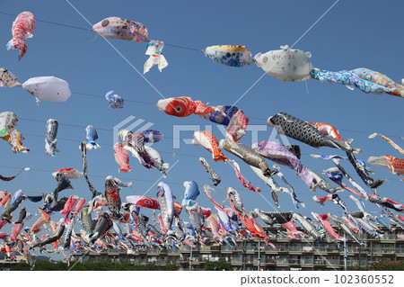 Koinobori carp streamer Takatsuki City, Osaka Prefecture Akutagawa Sakurazutsumi Park JR Takatsuki Station JR Kyoto Line Children's Day May 5th National Holiday Koinobori carp streamer Takatsuki City, Osaka Prefecture Akutagawa Sakurazutsumi Park JR Takatsuki Station JR Kyoto Line Children's Day May 5th National Holiday 102360552