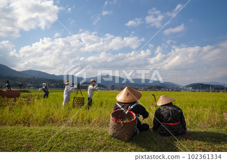 A scarecrow in a rice paddy after rice harvesting A scarecrow in a rice paddy after rice harvesting 102361334