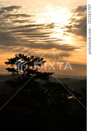 Sunrise from Yakami Castle 102361707