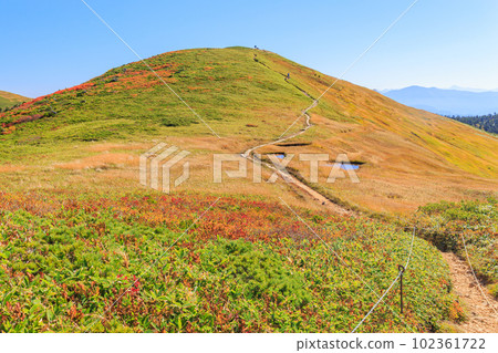 Autumn ridgeline from the summit of Mt. Makiki to Mt. Ushigatake 102361722