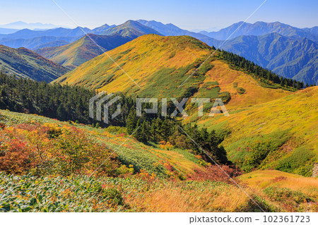 Autumn ridge seen from just below the summit of Mt. Makiki 102361723