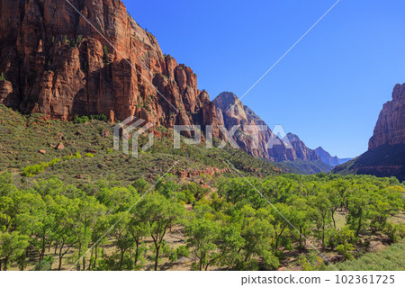 Zion National Park in Utah, USA 102361725