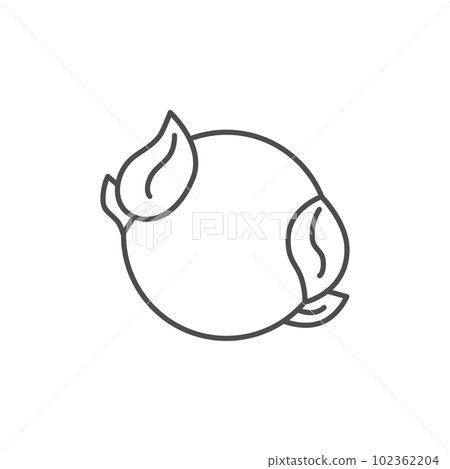 Leaf related vector linear icon 102362204