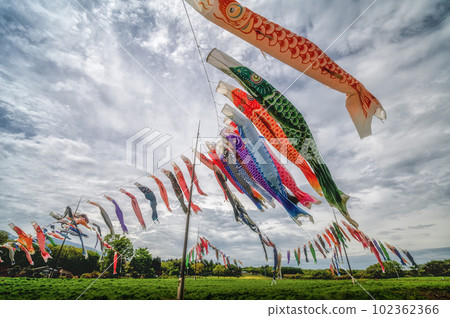 Rapeseed field and carp streamers at Nasu Heartful Farm, Nasu Town, Tochigi Prefecture Rapeseed field and carp streamers at Nasu Heartful Farm, Nasu Town, Tochigi Prefecture 102362366