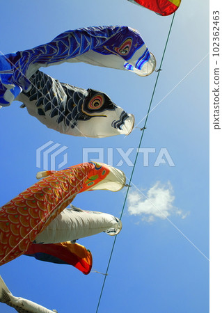 Carp streamers flying high in the sky 102362463
