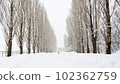 Heisei Poplar Row 102362759