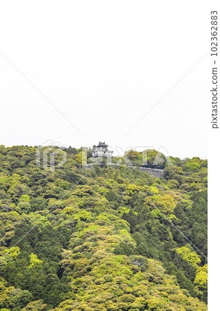 從錦帶橋看到的岩國城 102362883