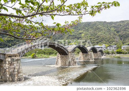 Kintai Bridge 102362896
