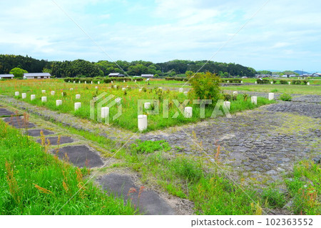 [國家史蹟]飛鳥宮遺址 102363552