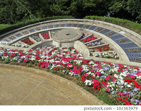 Inage Seaside Park Flower Clock Spring flowers in the flower bed Impatiens flowers 102363979