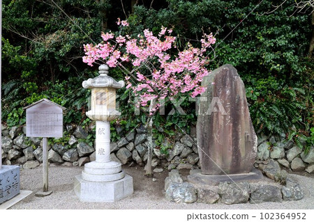 情侶搖滾 情侶搖滾 102364952