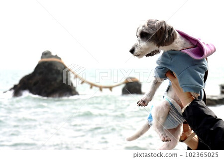 Married couple rocks and pet dog 102365025