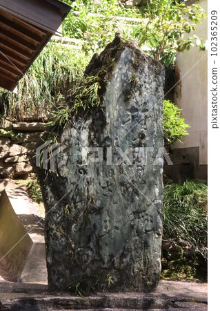 Kinuiidaji Kinuiidaji 102365209
