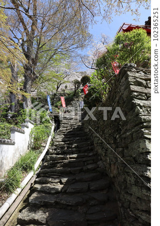Kimiidera Kimiidera 102365251
