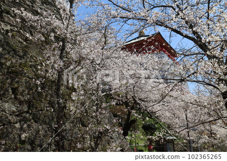 Kimiidera Kimiidera 102365265