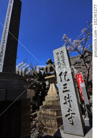 Kinuiidaji Kinuiidaji 102365277