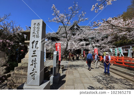 Kinuiidaji Kinuiidaji 102365278