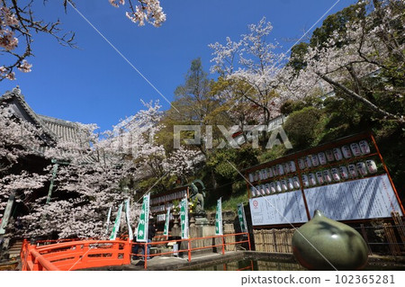 Kinuiidaji 102365281