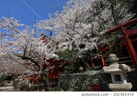 Kinuiidaji Kinuiidaji 102365354