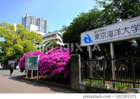 東京海洋大學品川校區 102365371