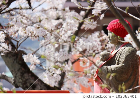 Kimiidera 102365401
