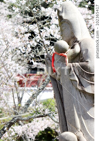 Kinuiidaji Kinuiidaji 102365417
