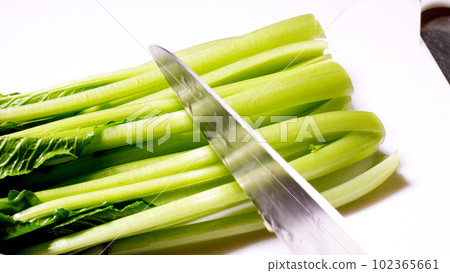 Chopped Japanese mustard spinach 102365661