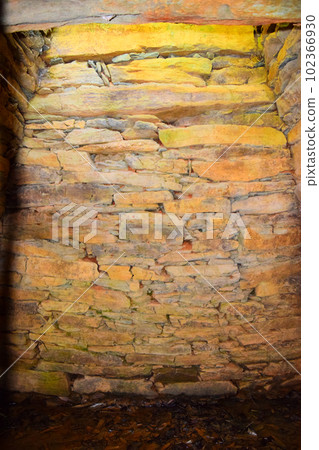 【國家指定特別史蹟】岩橋千塚古墳 【國家指定特別史蹟】岩橋千塚古墳 102366930