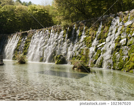 Myojin Falls (Yamanakako Hananomiyako Park Seiryu no Sato) 102367020