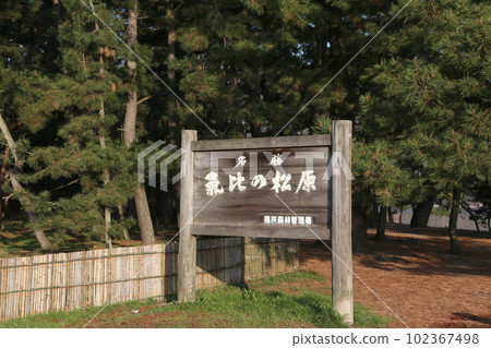 Kehi no Matsubara, Tsuruga Bay, Matsubayashi, Matsubara Beach, 福井縣, Tsuruga City, Tsuruga Bay, Kehi no Matsubara Beach, Beach, Fishing Area 102367498