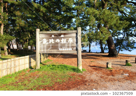 Kehi no Matsubara, Tsuruga Bay, Matsubayashi, Matsubara Beach, 福井縣, Tsuruga City, Tsuruga Bay, Kehi no Matsubara Beach, Beach, Fishing Area 102367509