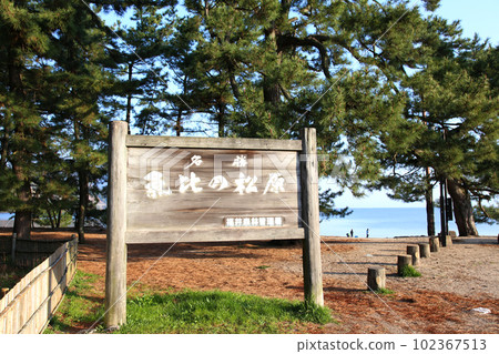 Kehi no Matsubara, Tsuruga Bay, Matsubayashi, Matsubara Beach, 福井縣, Tsuruga City, Tsuruga Bay, Kehi no Matsubara Beach, Beach, Fishing Area Kehi no Matsubara, Tsuruga Bay, Matsubayashi, Matsubara Beach, 福井縣, Tsuruga City, Tsuruga Bay, Kehi no Matsubara Beach, Beach, Fishing Area 102367513