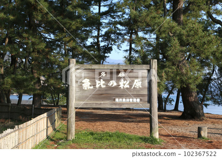 Kehi no Matsubara, Tsuruga Bay, Matsubayashi, Matsubara Beach, 福井縣, Tsuruga City, Tsuruga Bay, Kehi no Matsubara Beach, Beach, Fishing Area 102367522