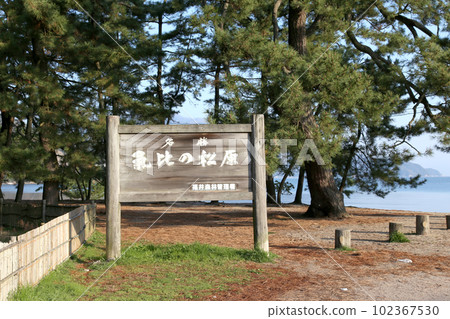 Kehi no Matsubara, Tsuruga Bay, Matsubayashi, Matsubara Beach, Fukui Prefecture, Tsuruga City, Tsuruga Bay, Kehi no Matsubara Beach, Beach, Fishing Area 102367530
