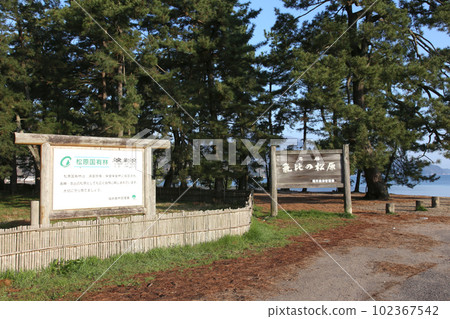 Kehi no Matsubara, Tsuruga Bay, Matsubayashi, Matsubara Beach, 福井縣, Tsuruga City, Tsuruga Bay, Kehi no Matsubara Beach, Beach, Fishing Area 102367542