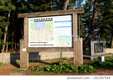 Kehi no Matsubara, Tsuruga Bay, Matsubayashi, Matsubara Beach, 福井縣, Tsuruga City, Tsuruga Bay, Kehi no Matsubara Beach, Beach, Fishing Area 102367564