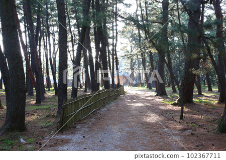 Kehi no Matsubara, Tsuruga Bay, Matsubayashi, Matsubara Beach, Fukui Prefecture, Tsuruga City, Tsuruga Bay, Kehi no Matsubara Beach, Beach, Fishing Area 102367711